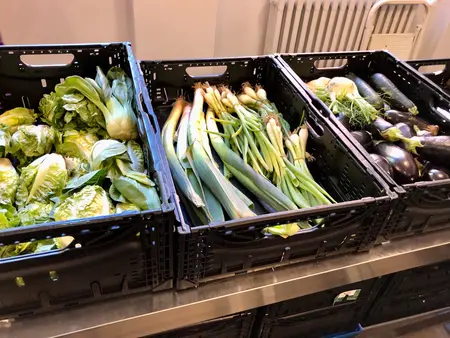 Drei schräg gestellte Gemüsekisten, darin: Salat, Porree, Frühlingszwiebelbn, Auberginen, Fenchel