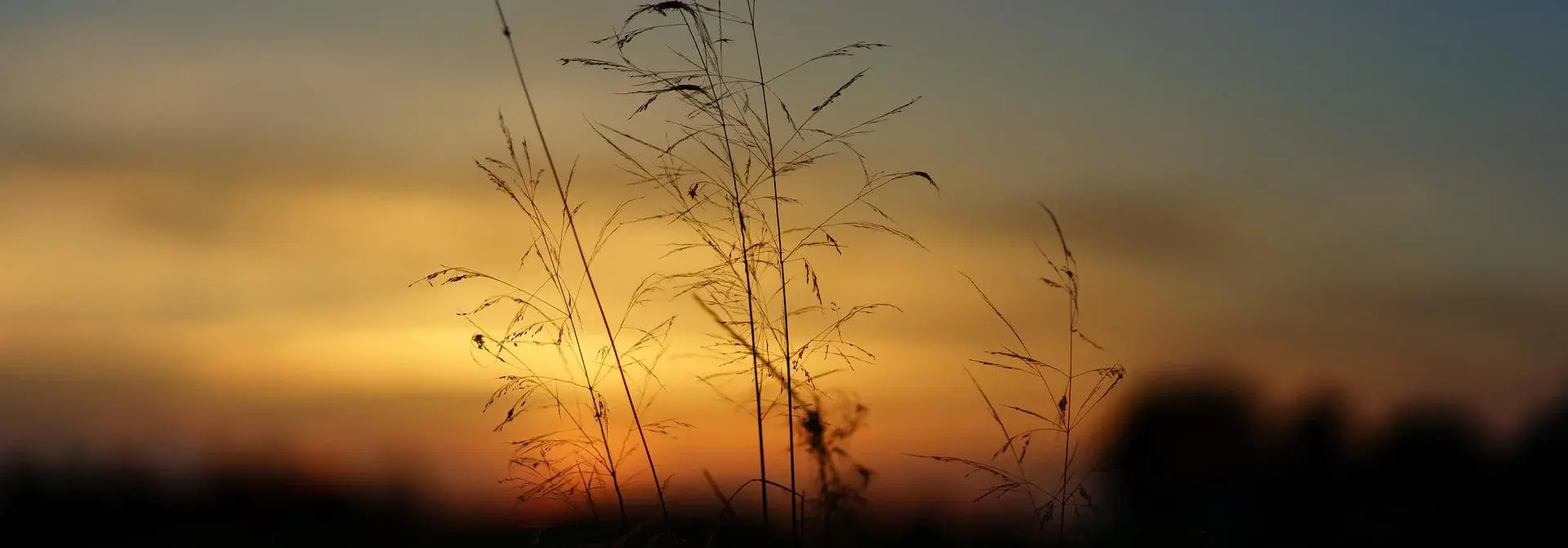Sonnenuntergang (Foto: jplenio/Pixabay)